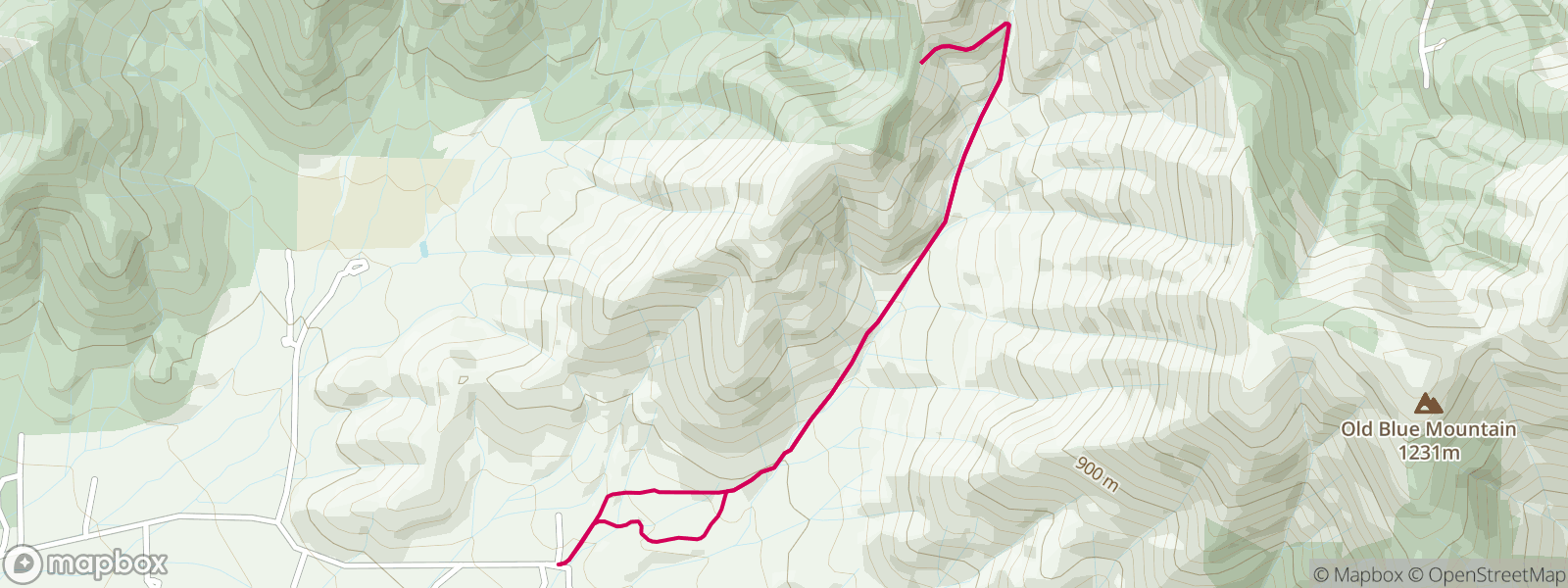 Enchanted Forest Trail   ROUTE NA 6500589 800x300 PINK Ret 